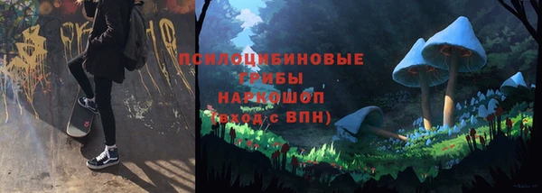 прущие грибы Козловка
