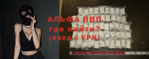 прущие грибы Козловка