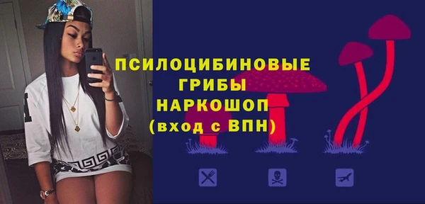 СК Кодинск