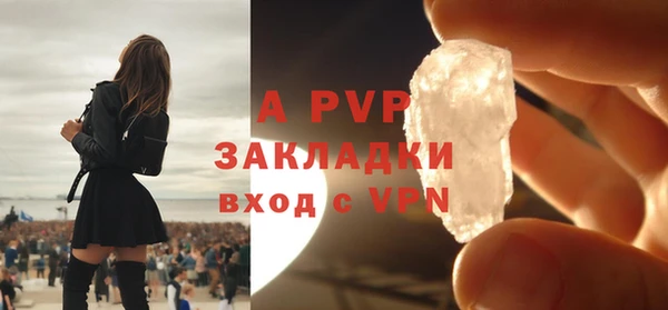 прущие грибы Козловка
