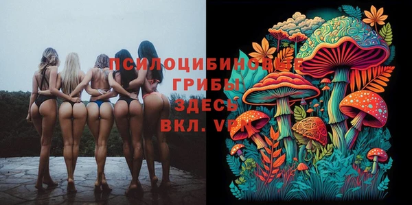СК Кодинск