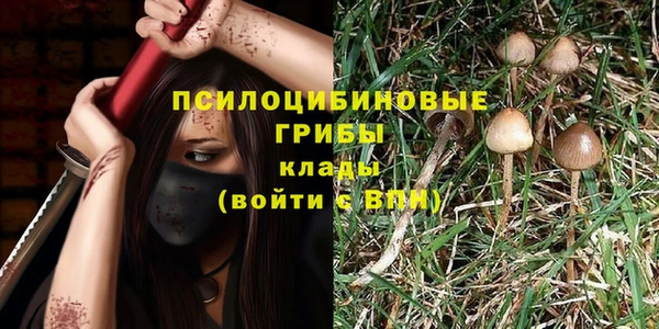 СК Кодинск